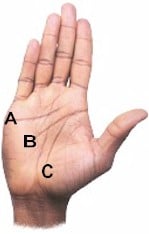 a hand with the palm and lines of the hand in focus